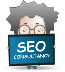 professional seo consultant
