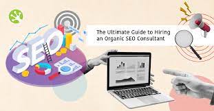 organic seo consultant