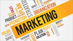 seo and internet marketing